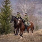 Konie na co dzień pracujące w BiOSG obchodzą swoje święto (zdjęcia) - Polskie Radio Rzeszów
