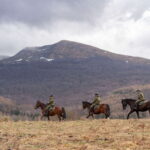 Konie na co dzień pracujące w BiOSG obchodzą swoje święto (zdjęcia) - Polskie Radio Rzeszów
