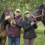 Konie na co dzień pracujące w BiOSG obchodzą swoje święto (zdjęcia) - Polskie Radio Rzeszów