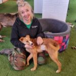 W Przemyślu otwarto pierwszą na Podkarpaciu szkołę dla psów - Polskie Radio Rzeszów