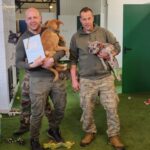 W Przemyślu otwarto pierwszą na Podkarpaciu szkołę dla psów - Polskie Radio Rzeszów