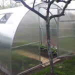 Właściciele ogródków działkowych korzystają z wiosennej aury 12 - Polskie Radio Rzeszów Właściciele ogródków działkowych korzystają z wiosennej aury - Polskie Radio Rzeszów