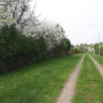 Właściciele ogródków działkowych korzystają z wiosennej aury 4 - Polskie Radio Rzeszów Właściciele ogródków działkowych korzystają z wiosennej aury - Polskie Radio Rzeszów