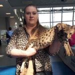 Zwierzomania w G2A Arena (zdjęcia) - Polskie Radio Rzeszów