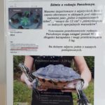 Zwierzomania w G2A Arena (zdjęcia) - Polskie Radio Rzeszów