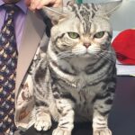 Zwierzomania w G2A Arena (zdjęcia) - Polskie Radio Rzeszów