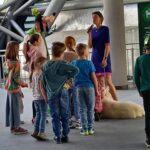 Zwierzomania w G2A Arena (zdjęcia) - Polskie Radio Rzeszów