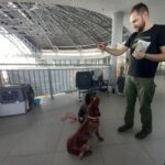 Zwierzomania w G2A Arena (zdjęcia) - Polskie Radio Rzeszów