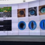 Zwierzomania w G2A Arena (zdjęcia) - Polskie Radio Rzeszów