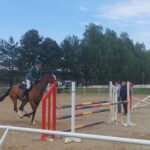 Jeździectwo. Zawody w Leśnej Woli - Polskie Radio Rzeszów