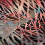 Prace pedagogów z krakowskiej ASP na wystawie w jarosławskim muzeum 6 - Polskie Radio Rzeszów Prace pedagogów z krakowskiej ASP na wystawie w jarosławskim muzeum - Polskie Radio Rzeszów