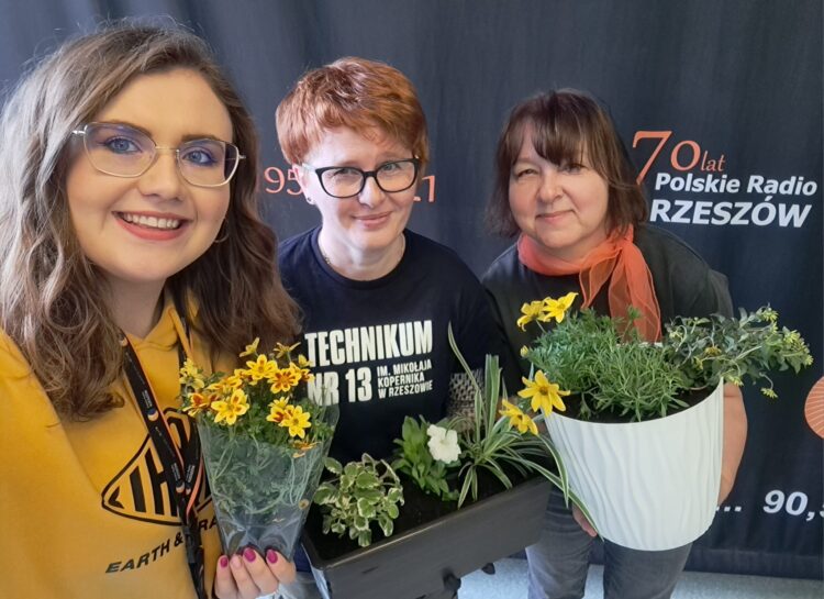 Jakie kwiaty najlepiej posadzić na balkonie lub tarasie?