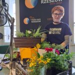 Jakie kwiaty najlepiej posadzić na balkonie lub tarasie? - Polskie Radio Rzeszów