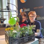 Jakie kwiaty najlepiej posadzić na balkonie lub tarasie? - Polskie Radio Rzeszów