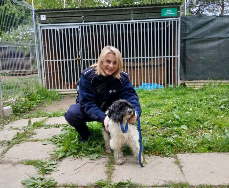 Policjanci ruszyli z pomocą miejscowemu schronisku