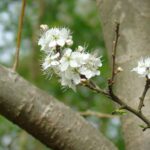 Nad Wisłokiem w Rzeszowie już widać wiosnę (fotogaleria) 10 - Polskie Radio Rzeszów Nad Wisłokiem w Rzeszowie już widać wiosnę (fotogaleria) - Polskie Radio Rzeszów