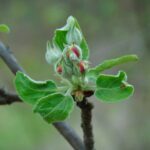 Nad Wisłokiem w Rzeszowie już widać wiosnę (fotogaleria) 12 - Polskie Radio Rzeszów Nad Wisłokiem w Rzeszowie już widać wiosnę (fotogaleria) - Polskie Radio Rzeszów