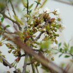 Nad Wisłokiem w Rzeszowie już widać wiosnę (fotogaleria) 8 - Polskie Radio Rzeszów Nad Wisłokiem w Rzeszowie już widać wiosnę (fotogaleria) - Polskie Radio Rzeszów