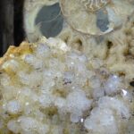 Wystawa i giełda minerałów w Rzeszowie (galeria zdjęć) - Polskie Radio Rzeszów