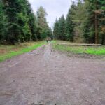 "Międzypokoleniowe Sprzątanie Świata" w Błażowej - Polskie Radio Rzeszów