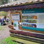 "Międzypokoleniowe Sprzątanie Świata" w Błażowej - Polskie Radio Rzeszów