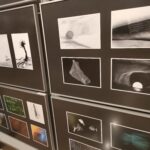 Podkarpackie Konfrontacje Fotograficzne 14 - Polskie Radio Rzeszów Podkarpackie Konfrontacje Fotograficzne - Polskie Radio Rzeszów