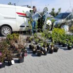 Zdrowa żywność na Podkarpackim Bazarku 9 - Polskie Radio Rzeszów Zdrowa żywność na Podkarpackim Bazarku - Polskie Radio Rzeszów