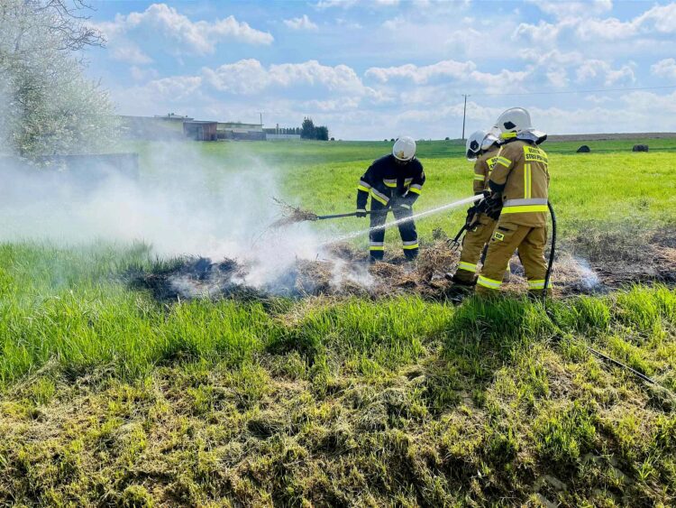 Wypalanie traw – szkodliwe i niezgodne z prawem