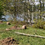 Blisko sto drzew posadzą Wody Polskie nad rzeszowskim Wisłokiem 2 - Polskie Radio Rzeszów Blisko sto drzew posadzą Wody Polskie nad rzeszowskim Wisłokiem - Polskie Radio Rzeszów