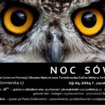 W Tarnobrzegu odbędzie się "Noc sów" 2 - Polskie Radio Rzeszów W Tarnobrzegu odbędzie się "Noc sów" - Polskie Radio Rzeszów