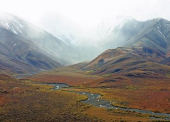 Eksperci: Tundra i&nbsp;tajga najbardziej ucierpią w&nbsp;wyniku zmian klimatycznych