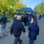 „Drzewko za makulaturę” w Stalowej Woli - Polskie Radio Rzeszów