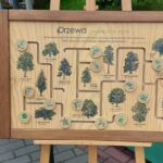 „Drzewko za makulaturę” w Stalowej Woli - Polskie Radio Rzeszów