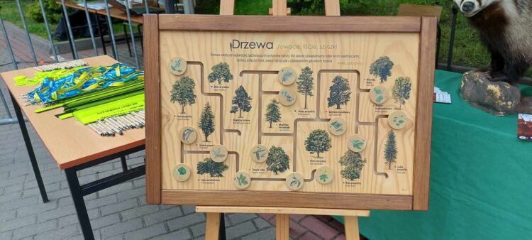 „Drzewko za makulaturę” w Stalowej Woli