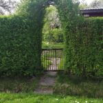 Właściciele ogródków działkowych korzystają z wiosennej aury 14 - Polskie Radio Rzeszów Właściciele ogródków działkowych korzystają z wiosennej aury - Polskie Radio Rzeszów