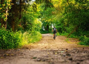 Na&nbsp;Roztoczu powstanie m.in.&nbsp;ścieżka rowerowa oraz&nbsp;park ciemnego nieba
