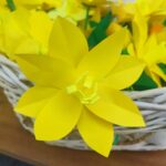 Kilkuset wolontariuszy kwestowało w Rzeszowie w ramach ogólnopolskiej akcji Pola Nadziei 3 - Polskie Radio Rzeszów Kilkuset wolontariuszy kwestowało w Rzeszowie w ramach ogólnopolskiej akcji Pola Nadziei - Polskie Radio Rzeszów