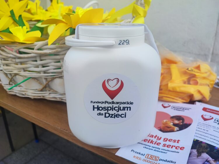 Kilkuset wolontariuszy kwestowało w Rzeszowie w ramach ogólnopolskiej akcji Pola Nadziei