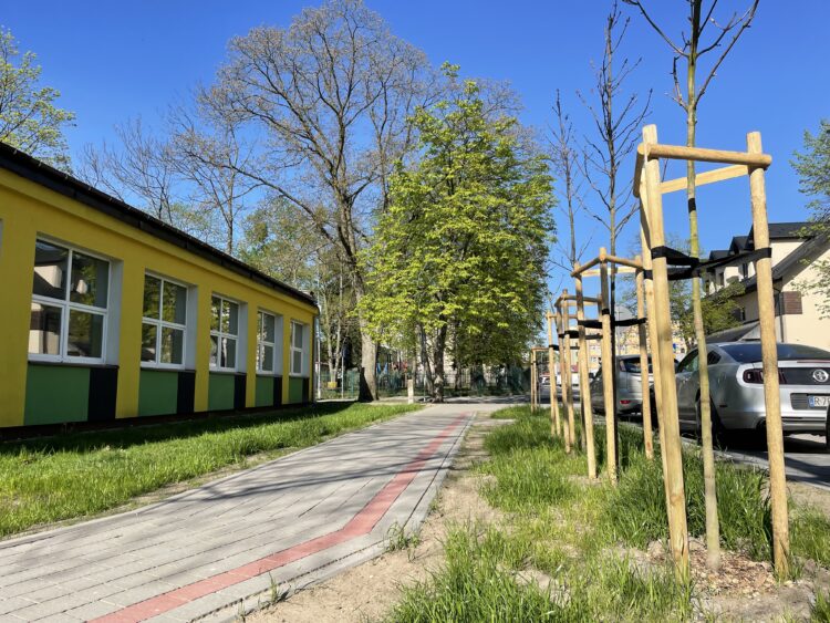 W Tarnobrzegu pojawią się tawuła szara i krzewuszki cudowne