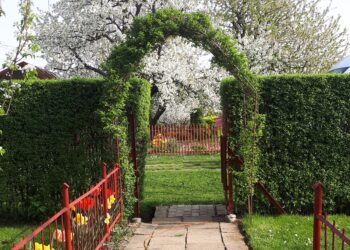 Właściciele ogródków działkowych korzystają z&nbsp;wiosennej aury