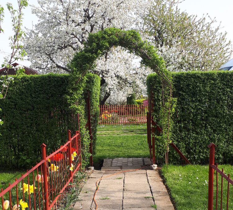 Właściciele ogródków działkowych korzystają z wiosennej aury