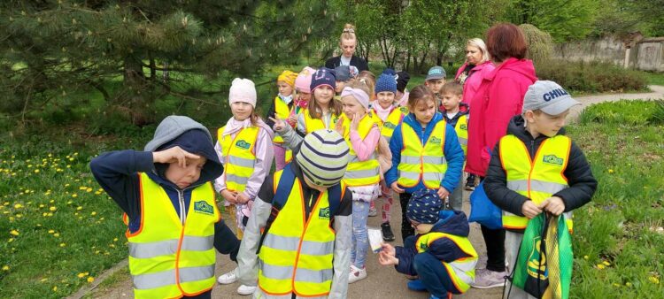 Sadzenie drzewek miododajnych w Tarnobrzegu