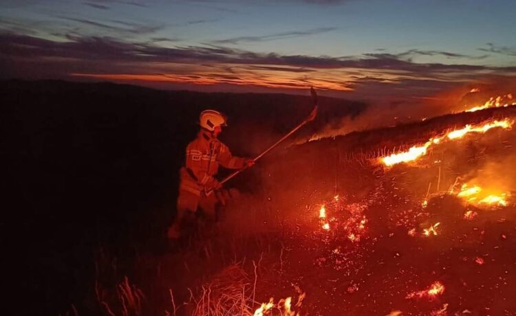 Straty po pożarze na Połoninie Caryńskiej