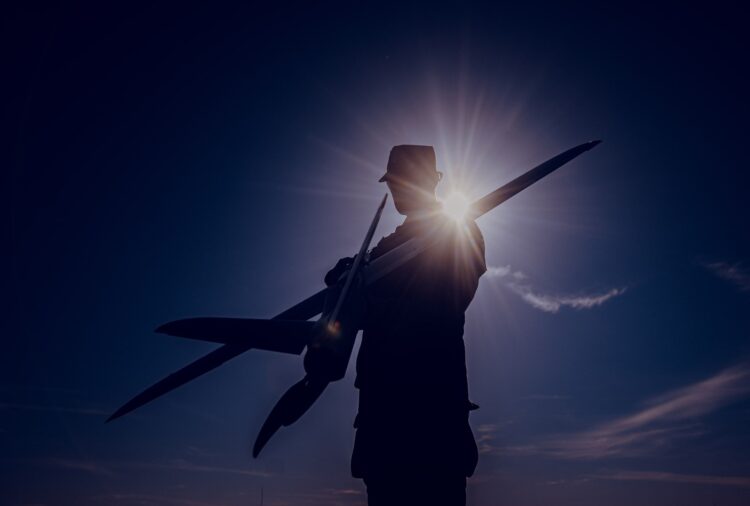 Podniebne patrole terytorialsów