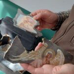 Myśliwi z Tarnobrzega pomagają Ukrainie 17 - Polskie Radio Rzeszów Myśliwi z Tarnobrzega pomagają Ukrainie - Polskie Radio Rzeszów