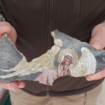 Myśliwi z Tarnobrzega pomagają Ukrainie 19 - Polskie Radio Rzeszów Myśliwi z Tarnobrzega pomagają Ukrainie - Polskie Radio Rzeszów