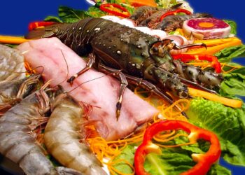 W&nbsp;rybach i&nbsp;owocach morza jest więcej tzw. wiecznych chemikaliów niż by&nbsp;się wydawało