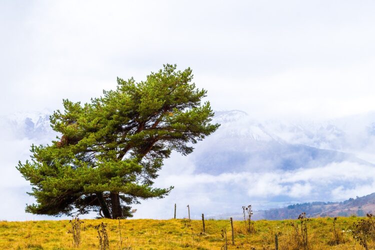 IMGW: Majówka nad Bałtykiem chłodna, w górach zdecydowanie cieplej