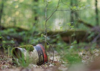 Akcja „Wysprzątamy rzeszowski las”