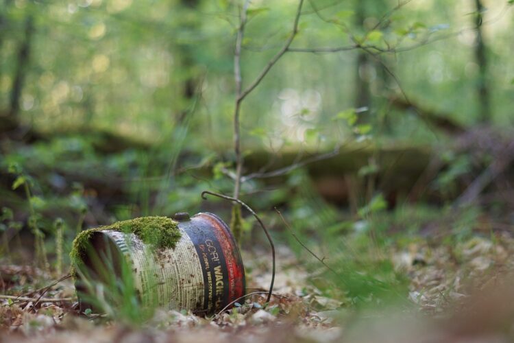 Akcja „Wysprzątamy rzeszowski las”